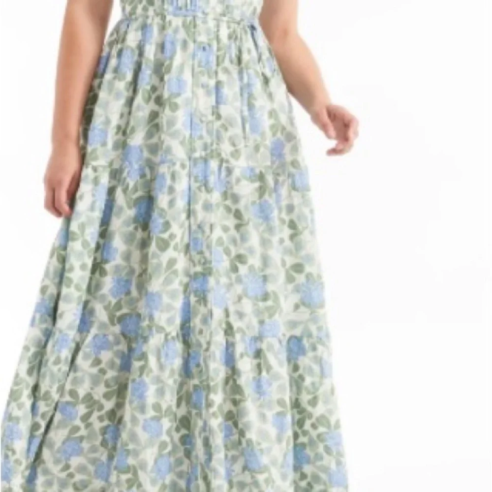 Hermoza Blue and Green Floral Maxi Dress - Picture 12 of 14